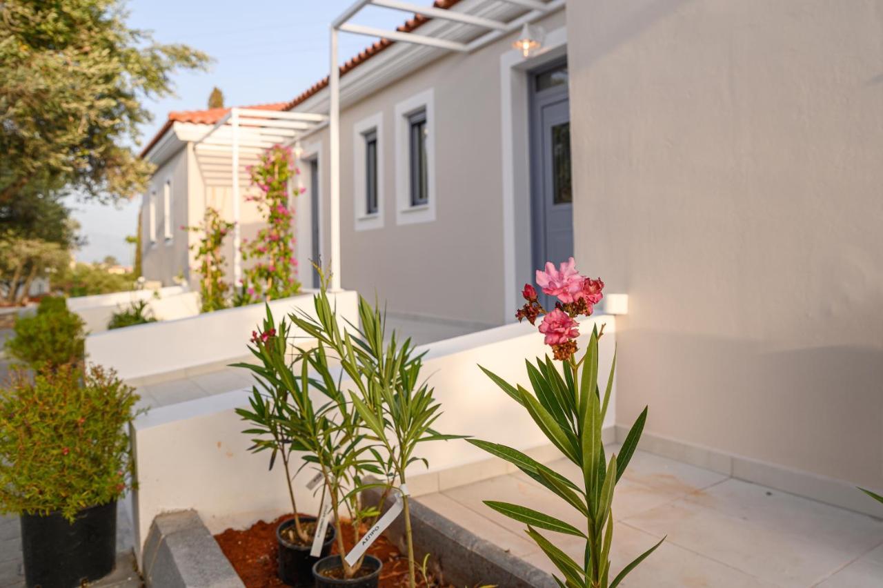 Dionisos Suites ลิคชูรี ภายนอก รูปภาพ